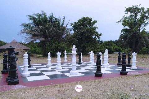 9-things-to-do-at-lekki-conservation-centre