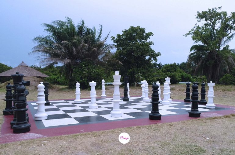 9-things-to-do-at-lekki-conservation-centre
