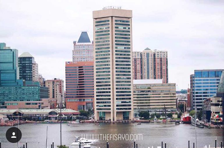 the national aquarium, The harbor, 5 places to visit in Baltimore Maryland - Insider's guide, tourist attractions in Maryland USA, tourist attractions in Baltimore USA