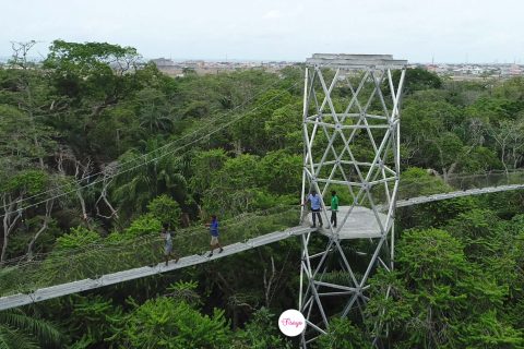 Four things I learnt on the longest canopy walk in AFRICA, Lekki Conservation Centre, Lagos Nigeria, 5 places to visit in Nigeria, places in Lagos Nigeria, the yellow in Lagos, The Nigeria Experience